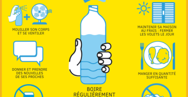 Canicule : boire, se ventiler, rester à l'ombre les bons gestes à adopter