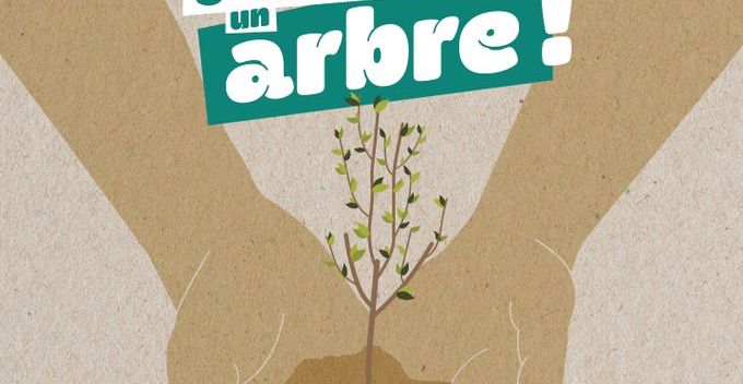 des mains portent les racines d'un arbre