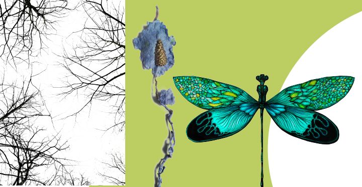 Une libellule,la cime des arbres en hiver et une pomme de pin sur une branche bleue, trois ouevres de l'exposition Traversée