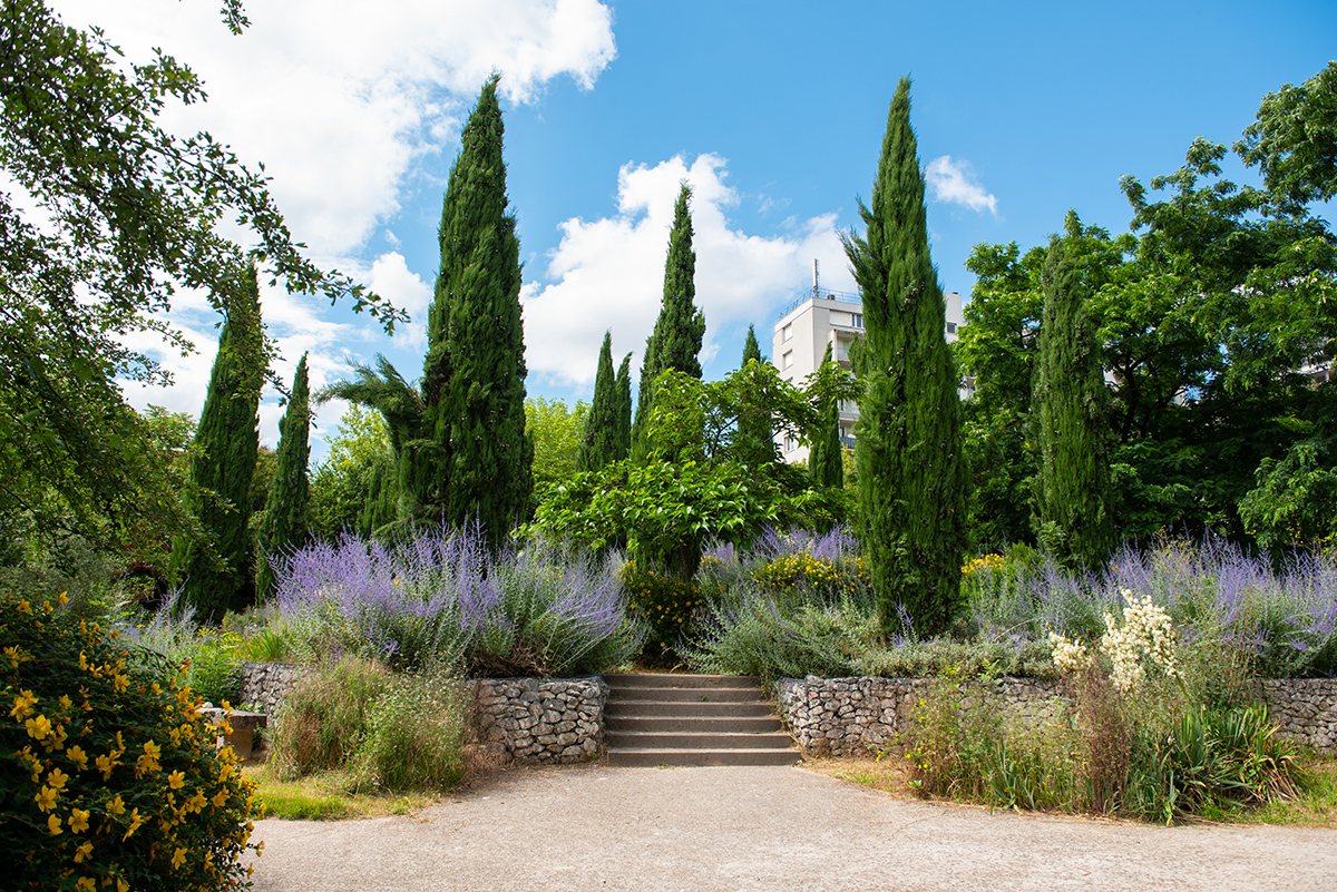 Arbres et lavande au parc Audin à Bagnolet