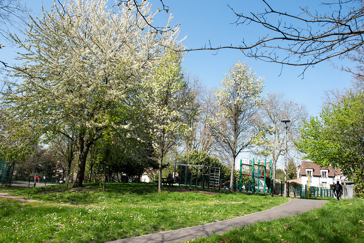 Les arbres en fleurs balnches au square Schnarbach de Bagnolet